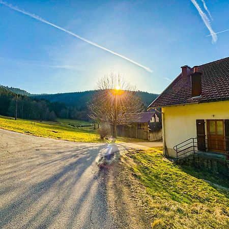 Chalet Cosy Lisiere De Foret Xonrupt-Longemer Eksteriør bilde