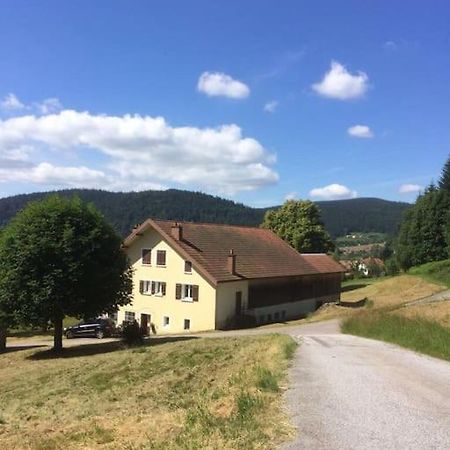 Chalet Cosy Lisiere De Foret Xonrupt-Longemer Eksteriør bilde