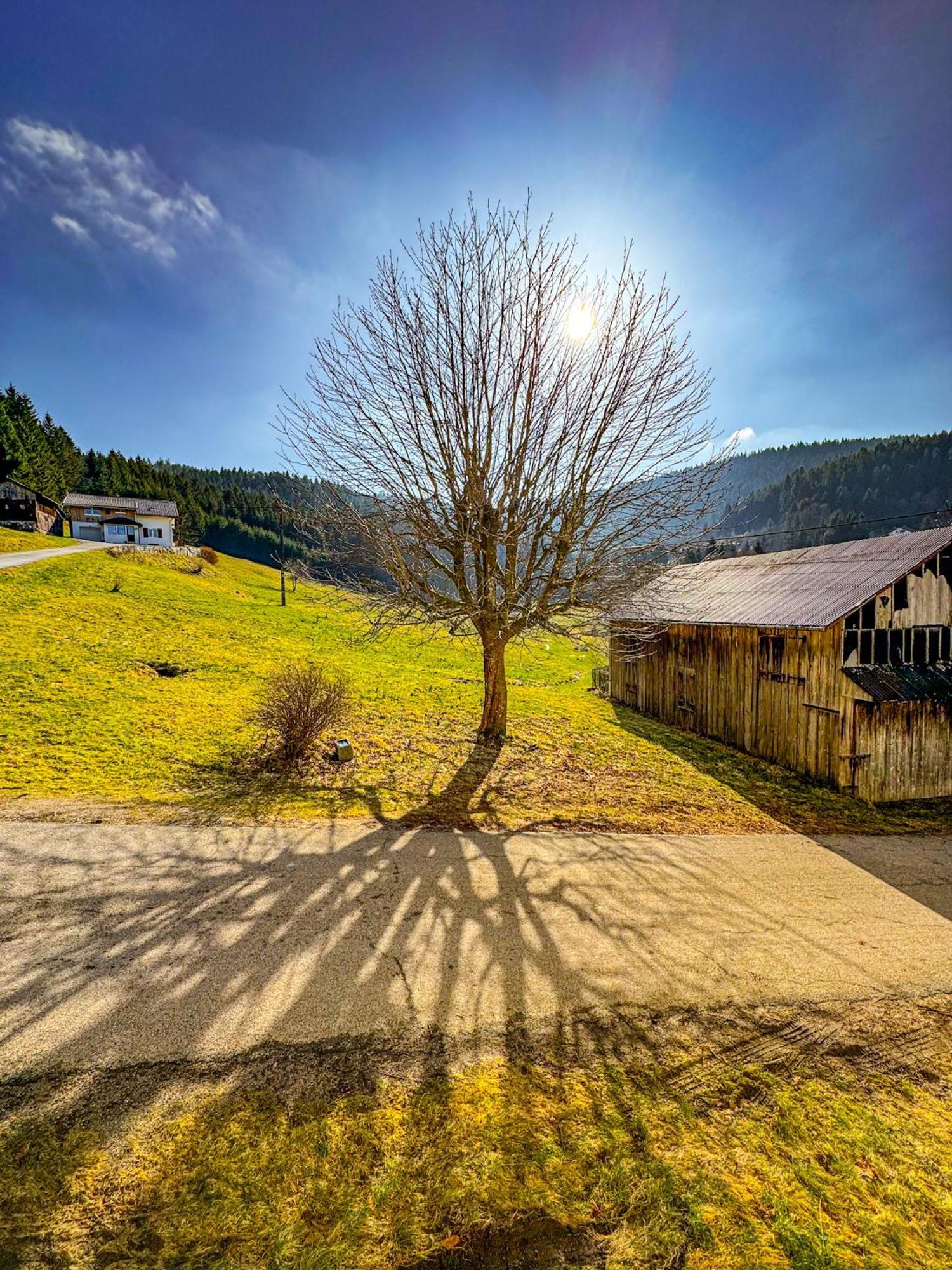 Chalet Cosy Lisiere De Foret Xonrupt-Longemer Eksteriør bilde