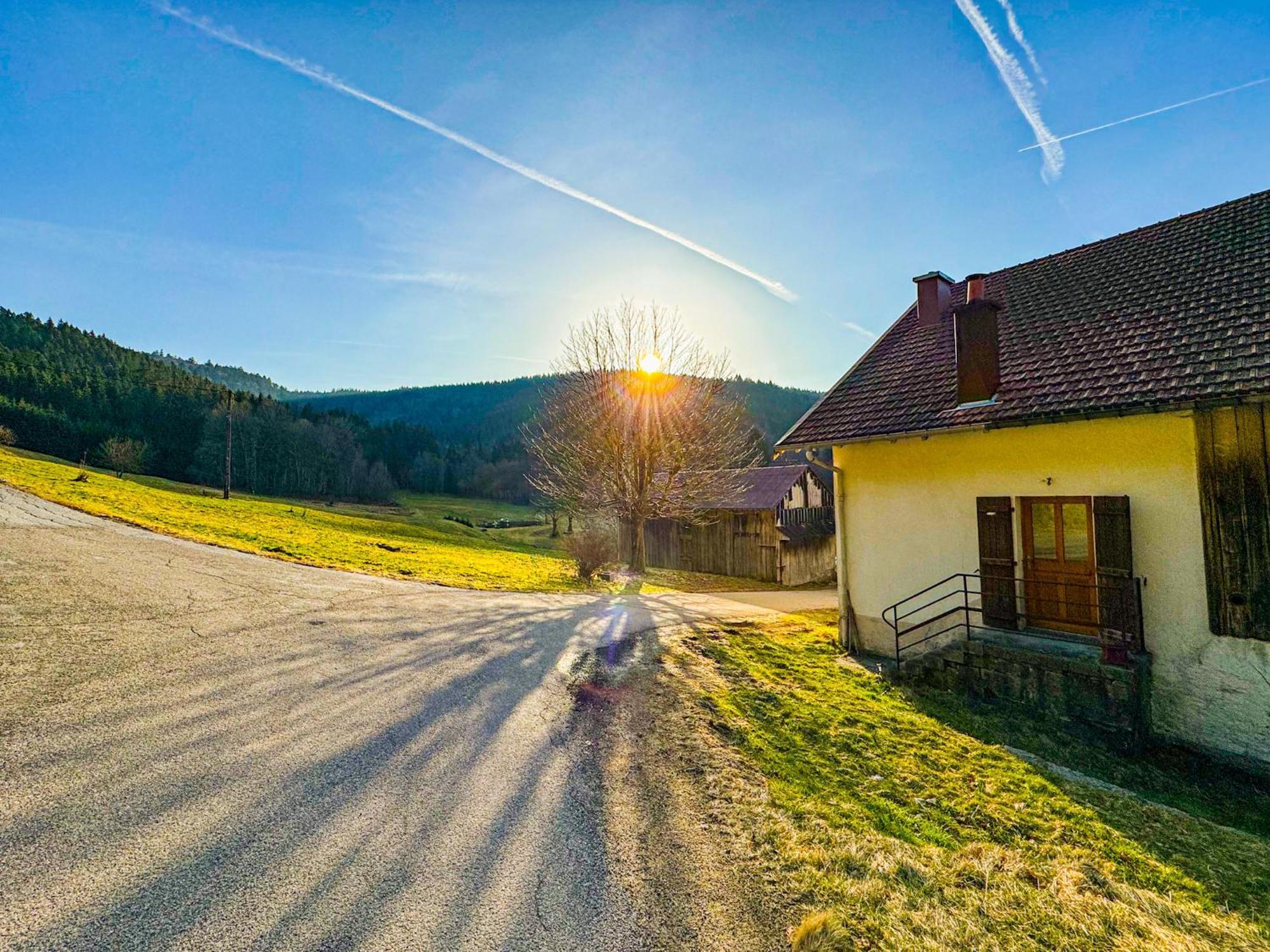Chalet Cosy Lisiere De Foret Xonrupt-Longemer Eksteriør bilde