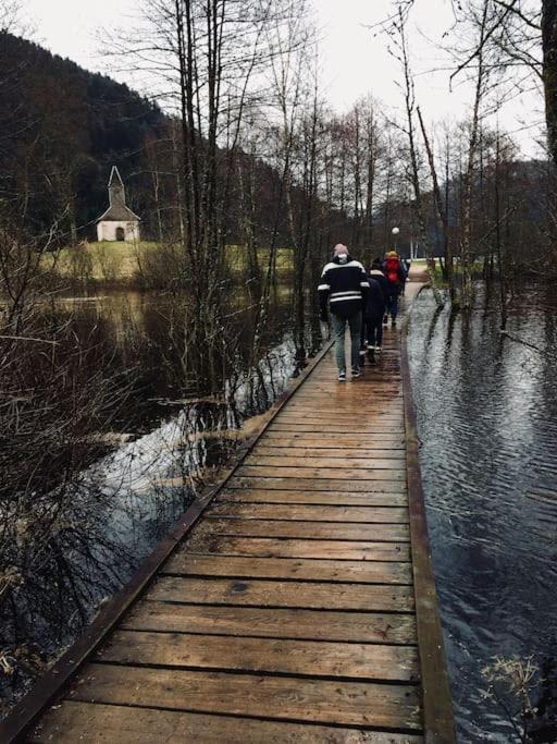 Chalet Cosy Lisiere De Foret Xonrupt-Longemer Eksteriør bilde
