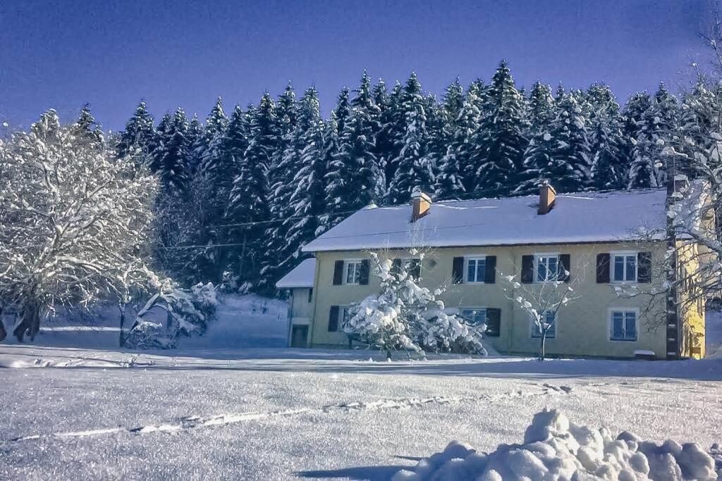 Chalet Cosy Lisiere De Foret Xonrupt-Longemer Eksteriør bilde