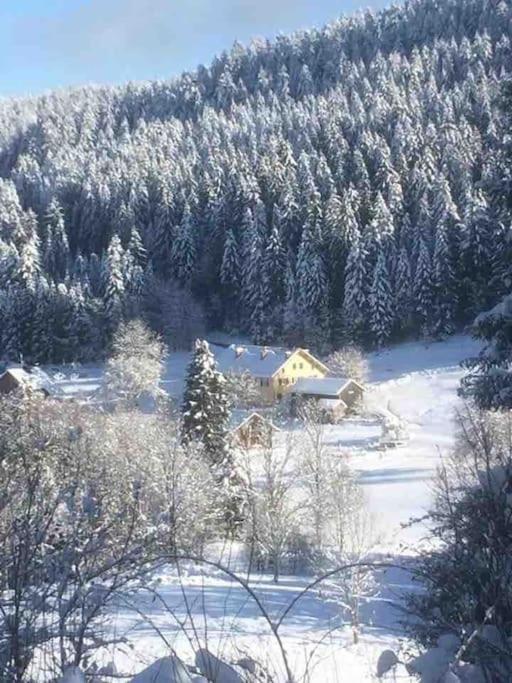 Chalet Cosy Lisiere De Foret Xonrupt-Longemer Eksteriør bilde