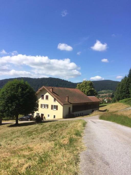 Chalet Cosy Lisiere De Foret Xonrupt-Longemer Eksteriør bilde
