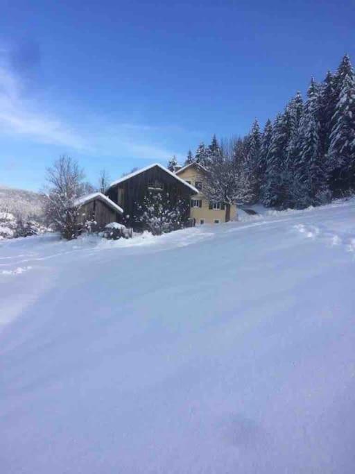 Chalet Cosy Lisiere De Foret Xonrupt-Longemer Eksteriør bilde