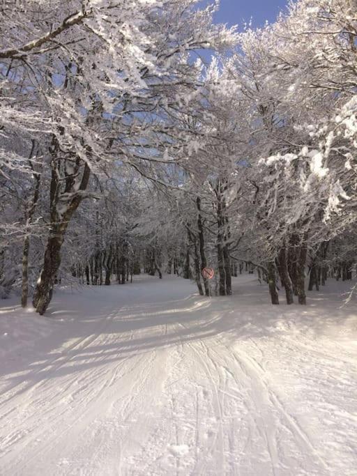 Chalet Cosy Lisiere De Foret Xonrupt-Longemer Eksteriør bilde